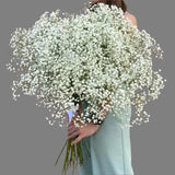 Load image into Gallery viewer, BABY’S BREATH(GYPSOPHYILIA) - WHITE MILLION STAR (250g)- DIY Wedding &amp; Events Flowers - White / 70CM / 1 - Fresh Cut