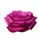 Load image into Gallery viewer, ROSE BLUE BERRY LAVANDER(RED PURPLE) 50CM - bloombybunches