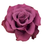 Load image into Gallery viewer, BLUE BERRY PURPULE ROSE - bloombybunches
