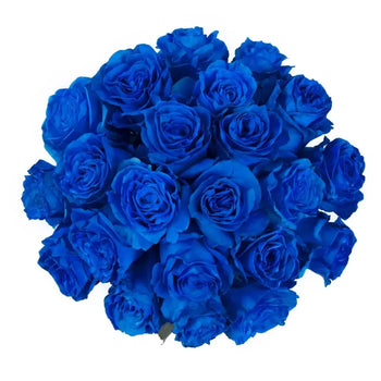 TINTED ROSE BLUE - Diy Wedding & Events - bloombybunches