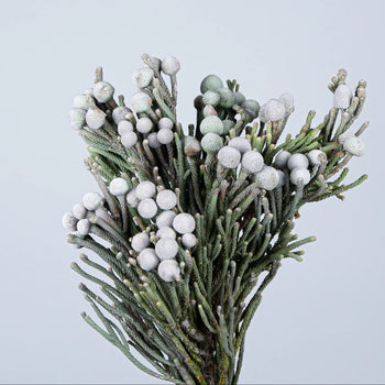 Close-up of Silver Brunia Balls with silver grey round berries on green stems, used for floral arrangements and centerpieces