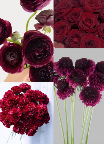 Burgundy Combo Mix floral collection featuring burgundy roses, carnations, ranunculus, and scabiosa with rich, deep tones for elegant bouquets and centerpieces