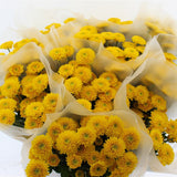 Load image into Gallery viewer, Chrysanthemum Spray Button Yellow