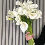 Load image into Gallery viewer, CALLA LILY LARGE WHITE - OPEN CUT - White / 30-40CM / 10 - Fresh Cut Flowers