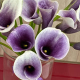 Load image into Gallery viewer, Calla Lily Mini Lavander -DIY Wedding &amp; Event Flower - Lavender / 30-40CM / 10 - Flowers