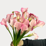 Load image into Gallery viewer, Calla Lily Mini Pink -DIY Wedding &amp; Event Flower - Light Pink / 30-40CM / 10 - Flowers