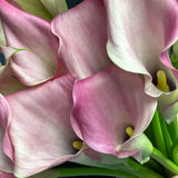 Load image into Gallery viewer, Calla Lily Mini Pink -DIY Wedding &amp; Event Flower - Light Pink / 30-40CM / 10 - Flowers