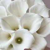 Load image into Gallery viewer, Calla Lily Mini White -DIY Wedding &amp; Event Flower - White / 30-40CM / 10 - Flowers