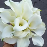 Load image into Gallery viewer, Calla Lily Mini White -DIY Wedding &amp; Event Flower - White / 30-40CM / 10 - Flowers