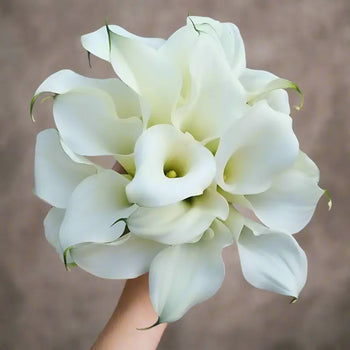 Calla Lily Mini White -DIY Wedding & Event Flower - White / 30-40CM / 10 - Flowers