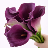 Load image into Gallery viewer, Calla Lily Standard Purple