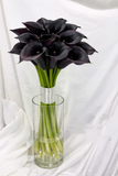 Load image into Gallery viewer, Calla Lily Standard Black Burgundy