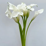 Load image into Gallery viewer, Calla Lily Mini White