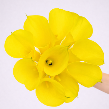 Calla Lily Mini Yellow