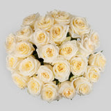 Load image into Gallery viewer, CANDLELIGHT CREAM GARDEN ROSE - Cream / 25 - Fresh Cut Flowers
