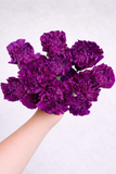 Load image into Gallery viewer, CARNATION MOONSHADE PURPLE