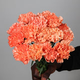 Load image into Gallery viewer, CARNATIONS ORANGE