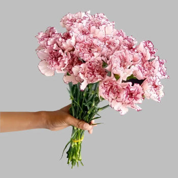 Red & White carnation bouquet for weddings and events (BloombyBunches.ca)