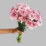 Load image into Gallery viewer, Red &amp; White carnation bouquet for weddings and events (BloombyBunches.ca)