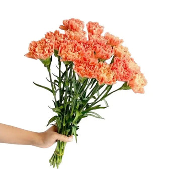 Orange carnation bouquet for weddings and events (BloombyBunches.ca)