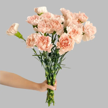 Peach carnation bouquet for weddings and events (BloombyBunches.ca)