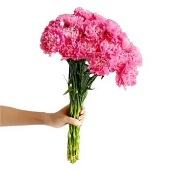 Pink carnation bouquet for weddings and events (BloombyBunches.ca)