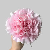 Load image into Gallery viewer, CARNATIONS LIGHT PINK