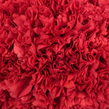 Load image into Gallery viewer, CARNATIONS RED - Flowers