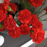 Load image into Gallery viewer, CARNATIONS RED - Flowers