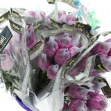 Load image into Gallery viewer, Cremon Purple
