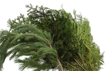 Christmas Mixed Greens (3lb)