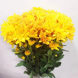 Load image into Gallery viewer, Yellow Cushions Mum (Spray Chrysanthemum) bouquet (BloombyBunches.ca)