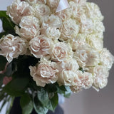 Load image into Gallery viewer, COTTON XPRESSION CREAM ROSE - Cream / 50CM / 25 - Fresh Cut Flowers