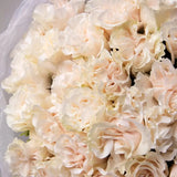 Load image into Gallery viewer, COTTON XPRESSION CREAM ROSE - Cream / 50CM / 25 - Fresh Cut Flowers