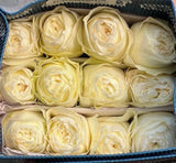 Load image into Gallery viewer, COTTON XPRESSION CREAM ROSE - bloombybunches