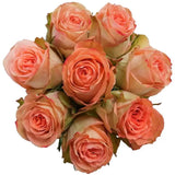 Load image into Gallery viewer, ROSE COUNTRY HOME PEACH 50CM - bloombybunches