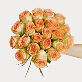 Load image into Gallery viewer, COUNTRY HOME PEACH GARDEN ROSE - 25 - Fresh Cut Flowers