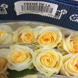 Load image into Gallery viewer, ROSE CREME DE LA CREME 50CM - bloombybunches
