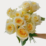 Load image into Gallery viewer, ROSE CREME DE LA CREME 50CM - bloombybunches