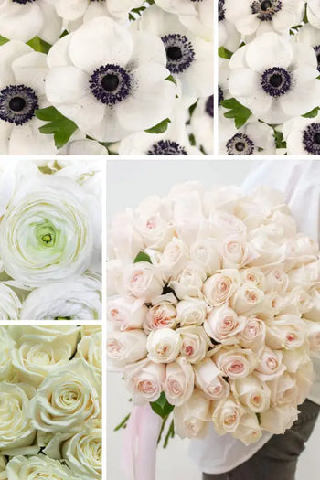 Cream & White Anemone - Cream - Fresh Cut Flowers