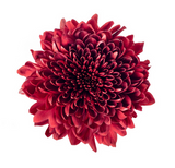 Load image into Gallery viewer, Cremon Red