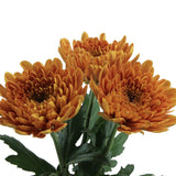 Load image into Gallery viewer, Cremon Bronze