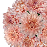 Load image into Gallery viewer, Cremone Linette Peachy Salmon