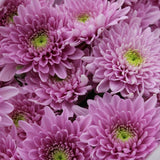 Load image into Gallery viewer, Chrysanthemum Spray Cushion Pink