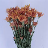 Load image into Gallery viewer, Chrysanthemum Spray Cushion Bronze