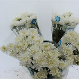 Load image into Gallery viewer, Chrysanthemum Spray Cushion White
