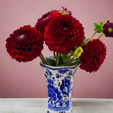 Load image into Gallery viewer, Dahlia Burgundy