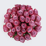Load image into Gallery viewer, DEEP PURPLE ROSE - Purple / 50CM / 25 - Fresh Cut Flowers