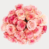 Load image into Gallery viewer, ESPERANCE PINK ROSE - bloombybunches