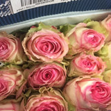 Load image into Gallery viewer, ROSE ESPERANCE PINK 50CM - bloombybunches